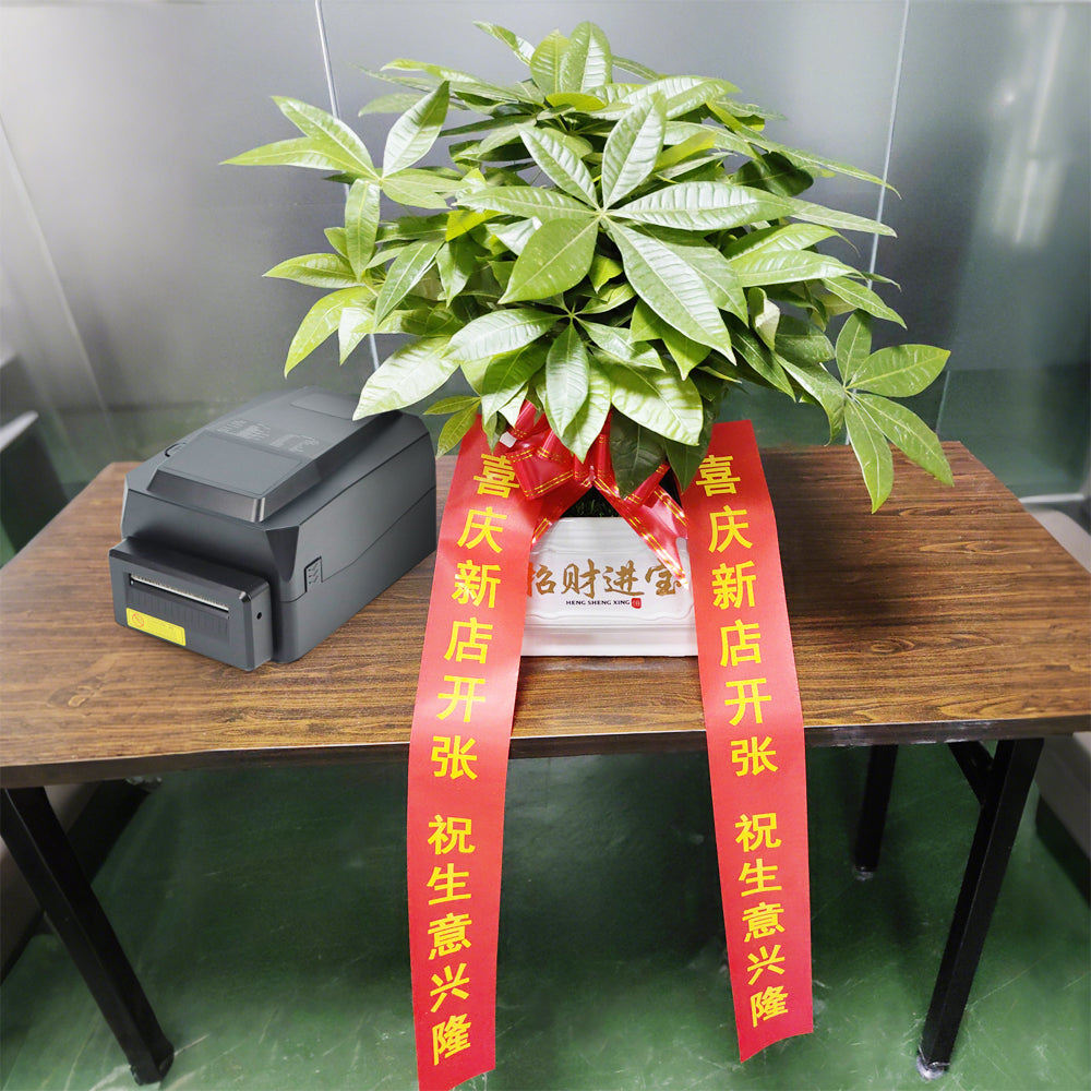 POS Printer Thermal DY200 USB / LAN / Serial / Blue Tooth Price Bill Wall Hanging Kitchen 104mm Barcode Thermal Receipt Printer